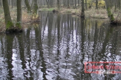 Geländewagentour Südheide Hintenrum - Das Orginal - 2012_11_17