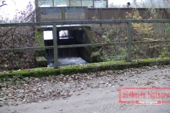 Geländewagentour Südheide Hintenrum - Das Orginal - 2012_11_17