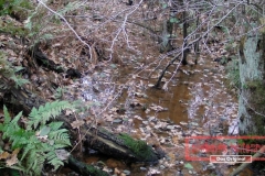 Geländewagentour Südheide Hintenrum - Das Orginal - 2012_11_17