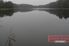 Geländewagentour Südheide Hintenrum - Das Orginal - 2012_11_17