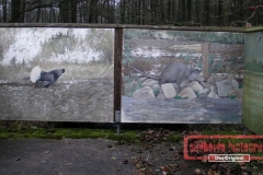 Geländewagentour Südheide Hintenrum - Das Orginal - 2012_11_17