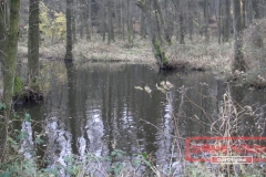 Geländewagentour Südheide Hintenrum - Das Orginal - 2012_11_17
